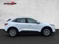 Ford Kuga Hybrid Titanium Bluetooth Navi Klima Standhzg Alb - thumbnail 17