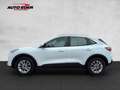 Ford Kuga Hybrid Titanium Bluetooth Navi Klima Standhzg Alb - thumbnail 15