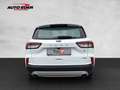 Ford Kuga Hybrid Titanium Bluetooth Navi Klima Standhzg Alb - thumbnail 16