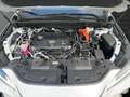 Lexus NX 450h+ + LUXURY Mark Levinson Weiß - thumbnail 20