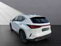 Lexus NX 450h+ + LUXURY Mark Levinson Blanc - thumbnail 3