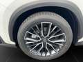 Lexus NX 450h+ + LUXURY Mark Levinson Blanc - thumbnail 21