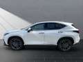 Lexus NX 450h+ + LUXURY Mark Levinson Blanc - thumbnail 2
