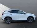 Lexus NX 450h+ + LUXURY Mark Levinson Blanc - thumbnail 6