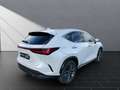 Lexus NX 450h+ + LUXURY Mark Levinson Blanc - thumbnail 5