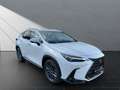 Lexus NX 450h+ + LUXURY Mark Levinson Blanc - thumbnail 7