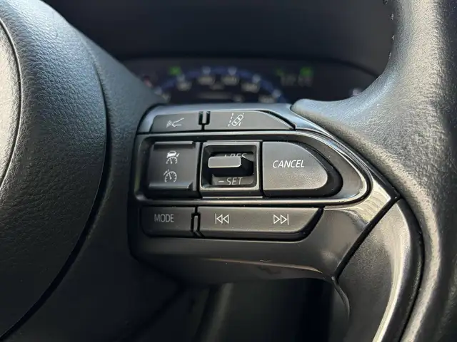 Toyota Yaris Cross view 19