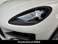 Porsche Macan 21-Zoll RKamera Memory Privacy Servo+ Lederpaket S Weiß - thumbnail 23