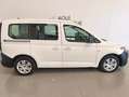 Volkswagen Caddy 2.0 TDI 90 kW Blanco - thumbnail 5