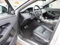 Land Rover Range Rover Evoque P250 R-Dynamic AHK Pano Kamera Silber - thumbnail 10