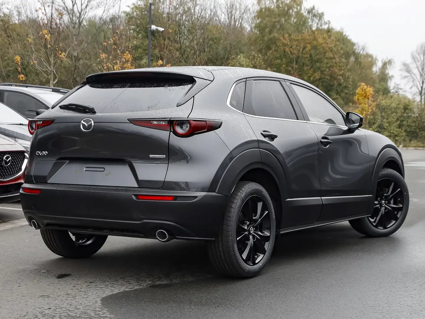 Mazda CX-30 Nagisa NAVI BOSE HEAD-UP SHZ PDC RFK LED Gris - 2