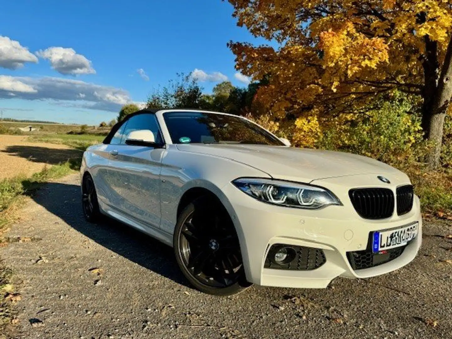 BMW 230 230i Cabrio Aut. M Sport Blanco - 2