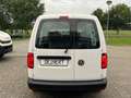 Volkswagen Caddy Maxi 1.4 TSI DSG/7 Sitzer Blanc - thumbnail 5