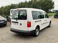 Volkswagen Caddy Maxi 1.4 TSI DSG/7 Sitzer Blanc - thumbnail 6