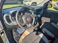 Fiat Panda Panda 1.0 FireFly S&S Hybrid City Life Blanc - thumbnail 9