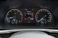 Ford Grand Tourneo Connect Titanium 1.5 EcoB. PHEV L2 Wit - thumbnail 19