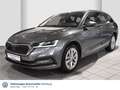 Skoda Octavia Combi 1.4 TSI iV Style DSG Navi Rear Vie Grau - thumbnail 1