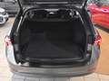 Skoda Octavia Combi 1.4 TSI iV Style DSG Navi Rear Vie Grau - thumbnail 14