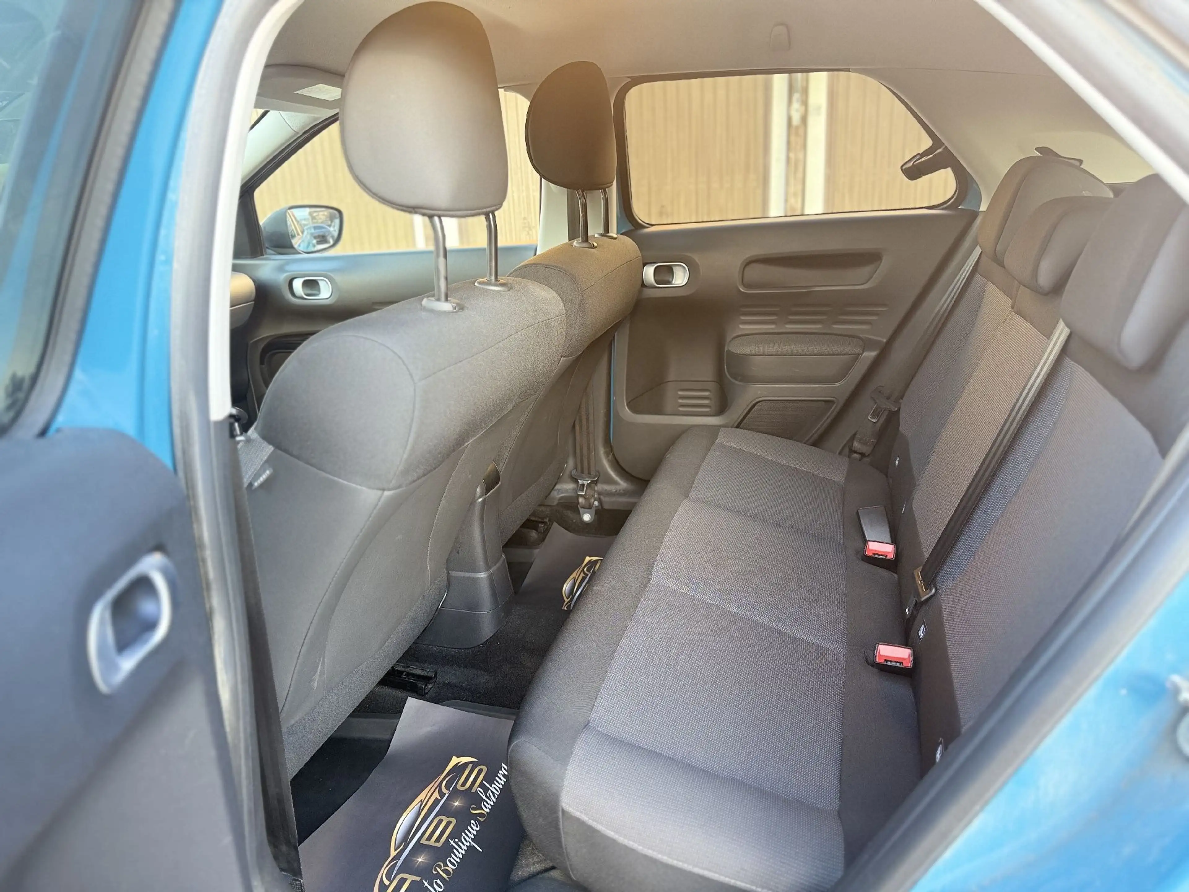 Citroen C4 Cactus Shine — photo 14