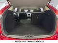 Mazda CX-5 2.2 SKYACTIV-D 175 Exclusive-Line AWD NAV AHK Rot - thumbnail 15