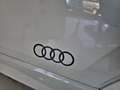 Audi Q2 S-LINE 35 TDI 150CV S-TRONIC MATRIX IDENTITY BLACK Gris - thumbnail 20