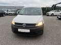 Volkswagen Caddy Kombi Maxi 2,0 TDI Weiß - thumbnail 2
