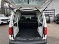 Volkswagen Caddy Kombi Maxi 2,0 TDI Weiß - thumbnail 9
