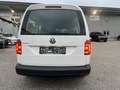 Volkswagen Caddy Kombi Maxi 2,0 TDI Weiß - thumbnail 6