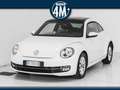 Volkswagen Maggiolino Maggiolino 2.0 TDI CON TETTO APRIBILE White - thumbnail 2