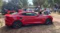 Chevrolet Camaro ZL1 Rojo - thumbnail 2