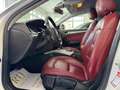 Audi A4 2.0 tdi 143 cv Advanced S-Line Automatica pelle Bianco - thumbnail 7