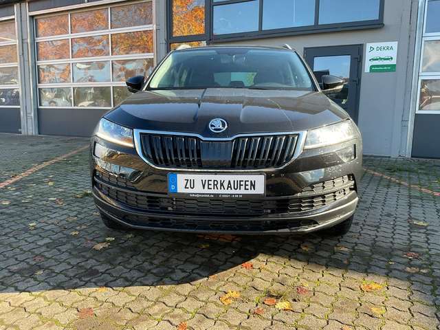 Imagine Skoda Karoq Style