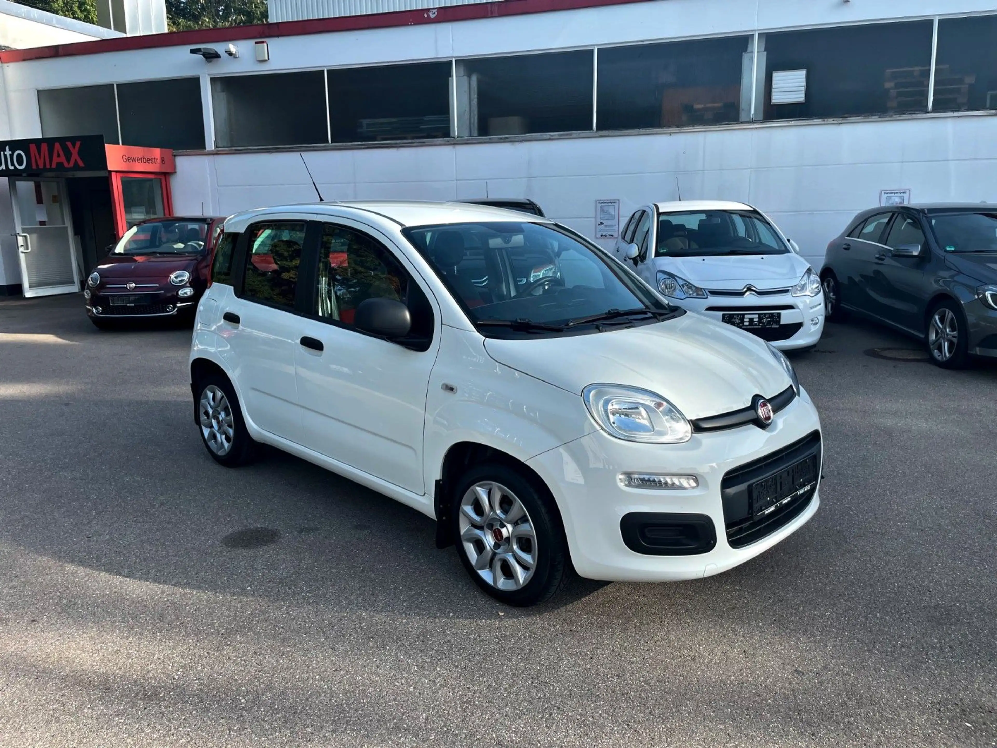 Fiat Panda 1.0 Easy *2.Hand/Klima/Sehr gepflegt*