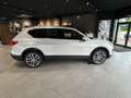 SEAT Tarraco Xperience 2.0 TDI /Panoramadach/ AHK Klima Navi Blanco - thumbnail 2