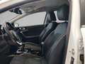 Kia Ceed / cee'd 1.0 T-GDI Eco-Dynamics Tech 100 Blanco - thumbnail 23