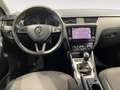 Skoda Octavia Wagon 1.6TDI 115CV Ambition - IVA ESPOSTA/NEOPATEN Bianco - thumbnail 8