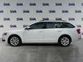 Skoda Octavia Wagon 1.6TDI 115CV Ambition - IVA ESPOSTA/NEOPATEN Bianco - thumbnail 3