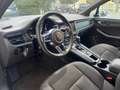 Porsche Macan 2.0 245CV PDK (2019) PASM - TAGLIANDI UFFICIALI Bianco - thumbnail 11