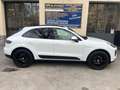 Porsche Macan 2.0 245CV PDK (2019) PASM - TAGLIANDI UFFICIALI Bianco - thumbnail 2