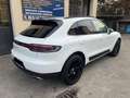 Porsche Macan 2.0 245CV PDK (2019) PASM - TAGLIANDI UFFICIALI Bianco - thumbnail 3