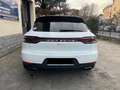 Porsche Macan 2.0 245CV PDK (2019) PASM - TAGLIANDI UFFICIALI Bianco - thumbnail 4