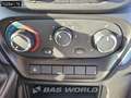 Iveco Daily 35S14 Automaat Bakwagen Achterdeuren 488cm lang! A Blauw - thumbnail 13