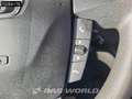 Iveco Daily 35S14 Automaat Bakwagen Achterdeuren 488cm lang! A Blauw - thumbnail 15