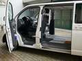 Volkswagen T5 Multivan Multivan T5 2010 2.0 tdi Comfortline 140cv Alb - thumbnail 3