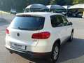 Volkswagen Tiguan Tiguan I 2011 1.4 tsi bm Trend Bianco - thumbnail 4