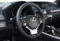 Lexus GS 300 300h Corporate - thumbnail 32