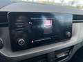 Skoda Kamiq 1.0 g-tec Ambition 90cv Blau - thumbnail 11