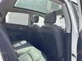 Nissan Qashqai 1,6 dCi 360° Grad Kamera 2.Besitz Weiß - thumbnail 30