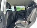 Nissan Qashqai 1,6 dCi 360° Grad Kamera 2.Besitz Weiß - thumbnail 22