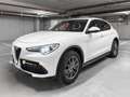 Alfa Romeo Stelvio 2.0 200ps / GARANTIE 12 MOIS Weiß - thumbnail 1